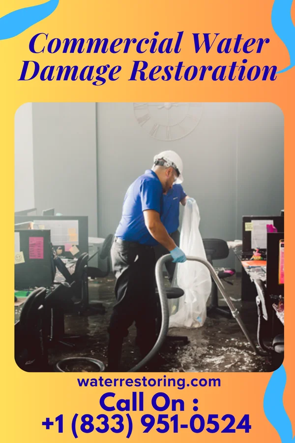 Commercial Water Damage Restoration in Zumbrota, MN