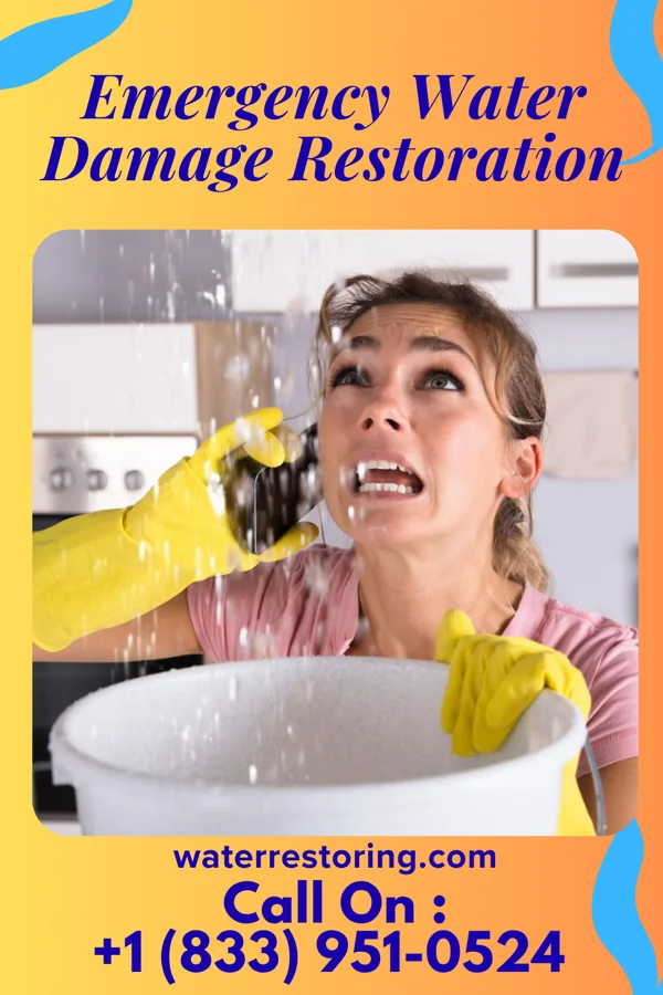 Emergency Water Damage Restoration in Zumbrota, MN