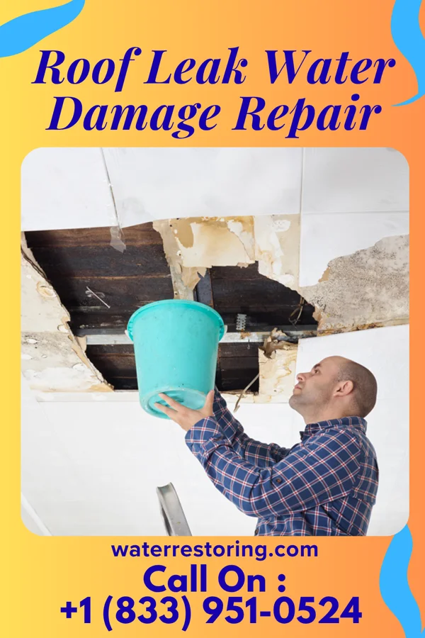 Roof Leak Water Damage Repair in Zumbrota, MN